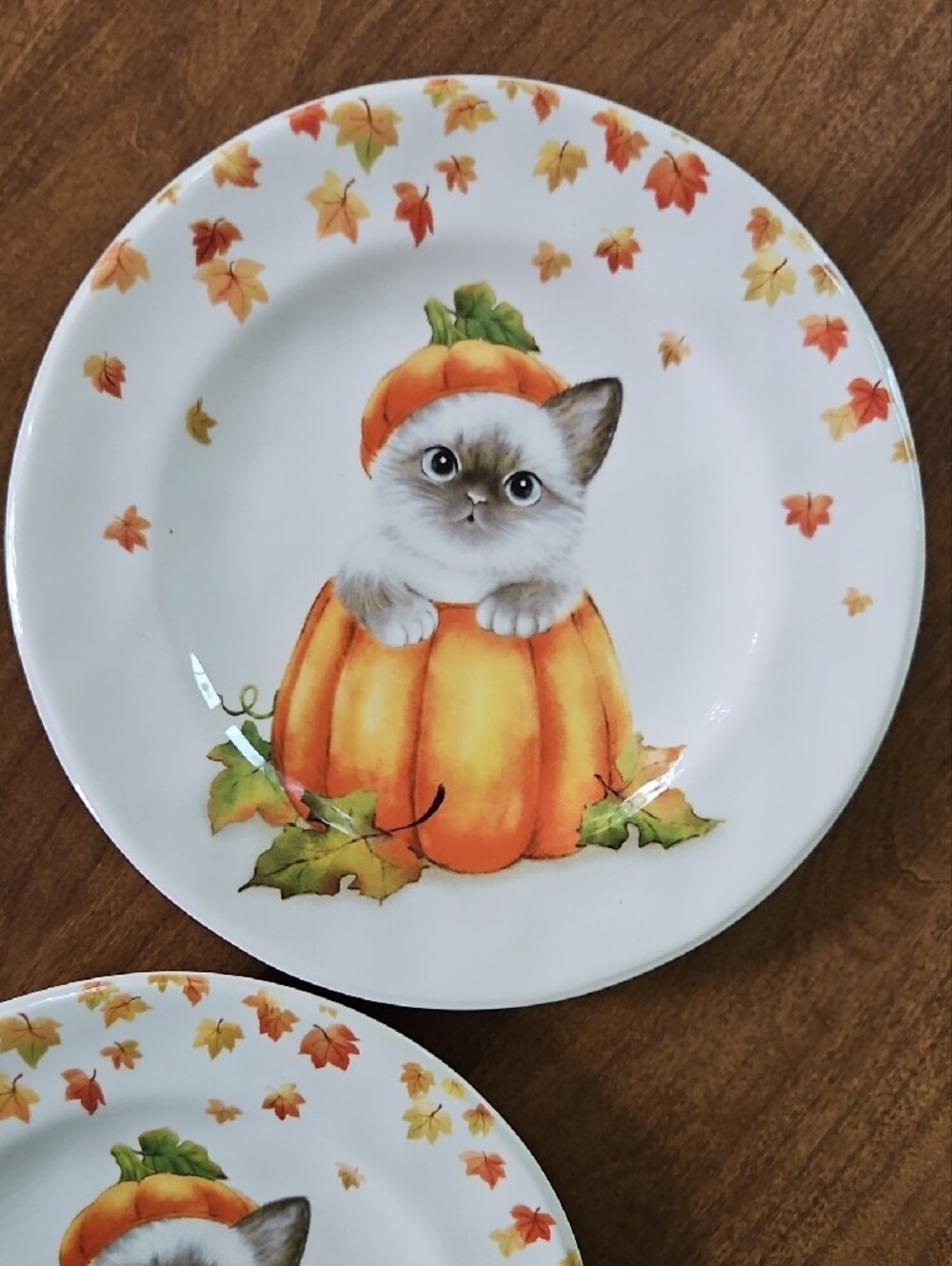 Pier 1 Cat in a Pumpkin Fall Salad/Lunxh Plates 8.5" - Set of 2 - Picture 5 of 9